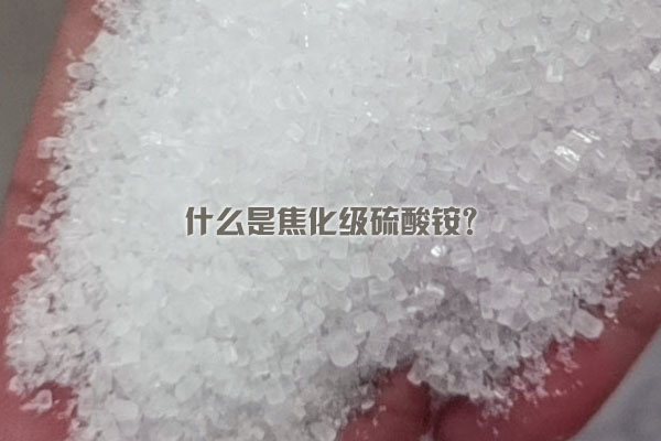 什么是焦化級硫酸銨？