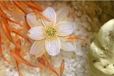 樹脂畫，滲透劑